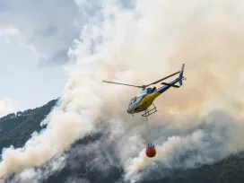 Wildfire Impact