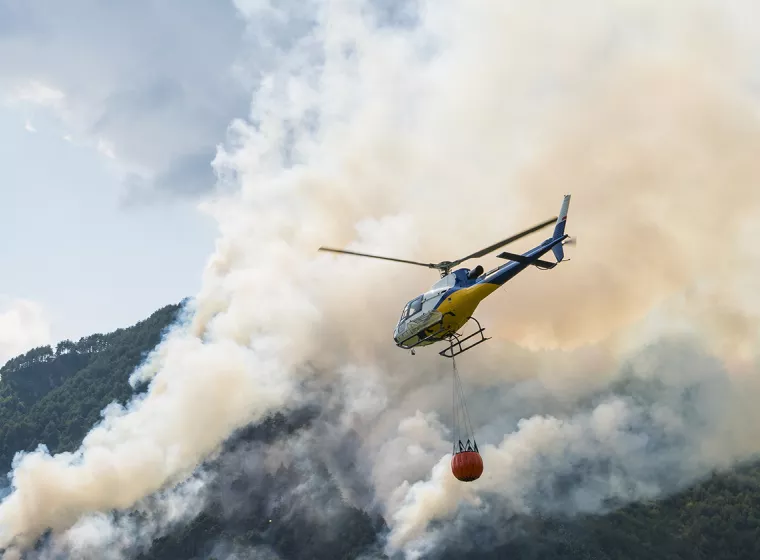 Wildfire Impact